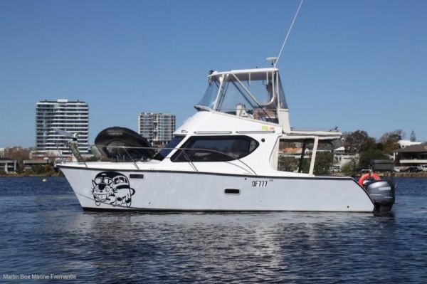 2002 Silver Tiger 10M image