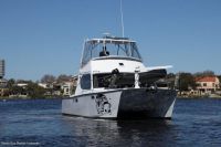 Image for 2002 Silver Tiger 10M 4