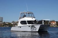 Image for 2002 Silver Tiger 10M 5