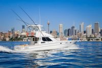 Image for 1993 Precision 47 Flybridge 1