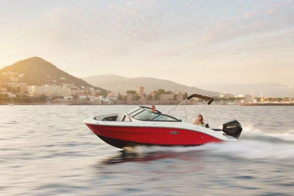 SEA RAY SPX 210 OB image