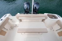 Image for Scout 255 LXF Centre Console 19