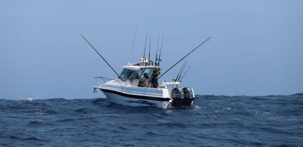 Haines Hunter 725 Enclosed + Yamaha - Quote only price image