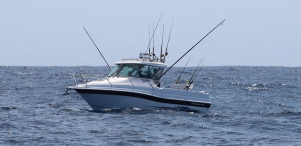 Haines Hunter 725 Enclosed + Yamaha - Quote only price image
