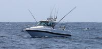 Image for Haines Hunter 725 Enclosed + Yamaha - Quote only price 1