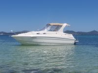 Image for 2004 LARSON Cabrio Cruiser 1