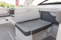Image for SEA RAY SDX 290 OB 16