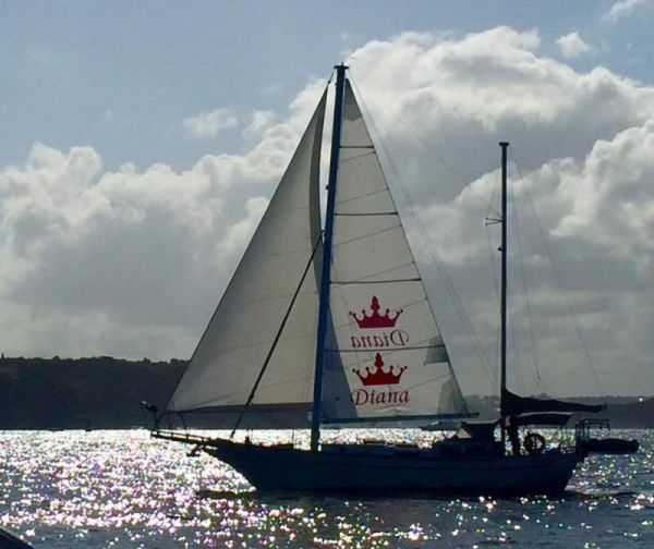 1975 Formosa 41 image