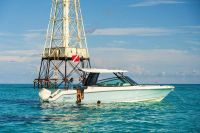 Image for 2025 Boston Whaler 330 Vantage 0