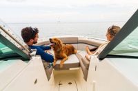 Image for 2025 Boston Whaler 330 Vantage 24