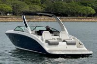 Image for 2023 SEA RAY 290 SDX 5