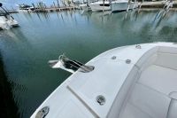 Image for 2023 SEA RAY 290 SDX 6