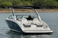 Image for 2023 SEA RAY 290 SDX 21