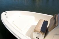 Image for Scout 175 Sportfish 4