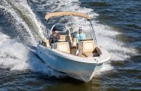Image for Scout 195 Sport Dorado 3