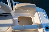 Image for Scout 195 Sport Dorado 10