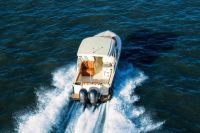 Image for Scout 255 Dorado 2