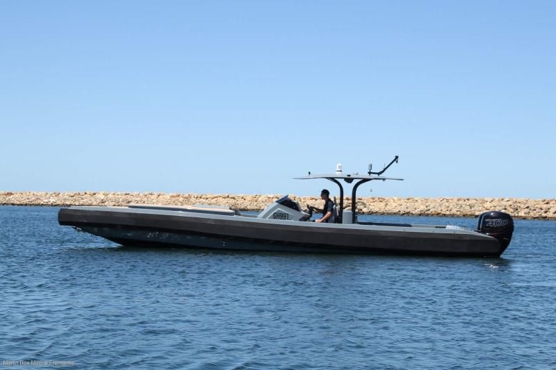 Image for 2018 Dingo Yachts 11.5 0