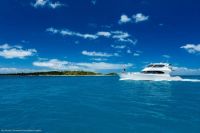 Image for 2006 Maritimo 60 Flybridge 12