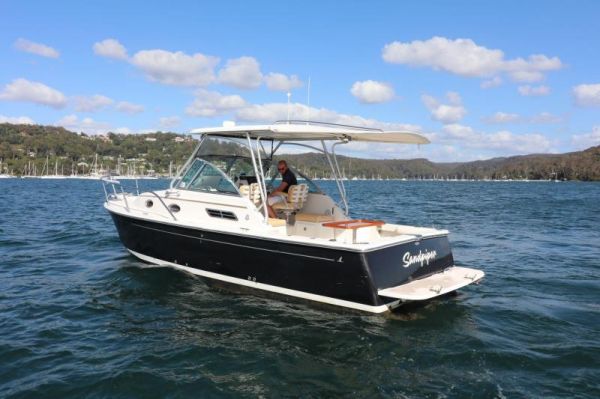 Back Cove 26 image