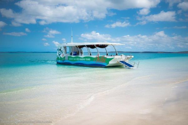 1998 Custom Tourist Passenger Vessel with Business image
