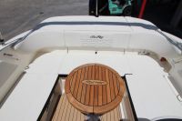 Image for 2024 Sea Ray 210 SPX OB 16