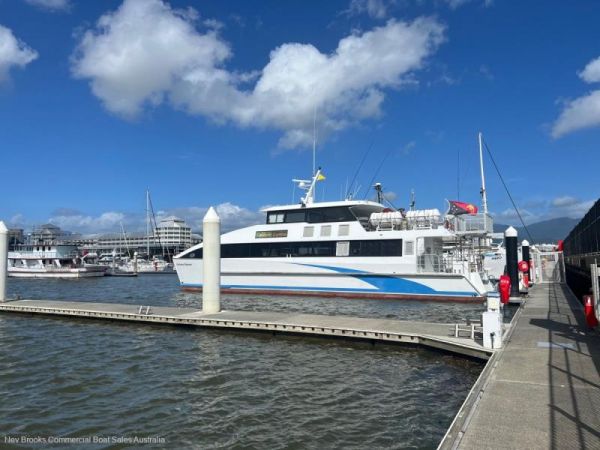 2022 Seacat Powered Catamaran image