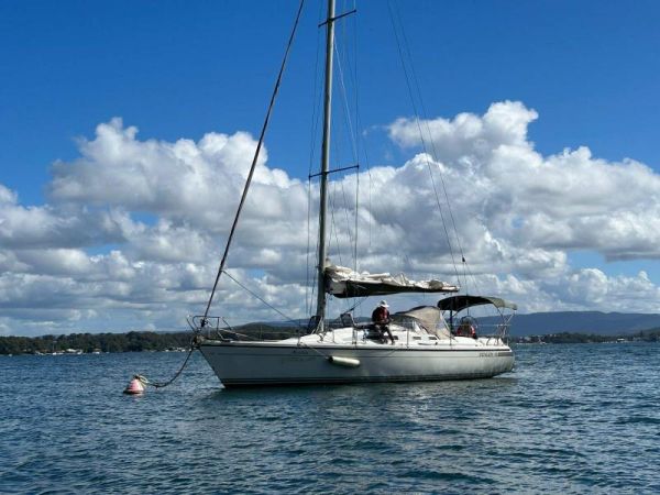 1990 Dehler 36 Cws image