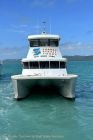 Image for 2021 Rebel Tour Business and Ferry Service 2