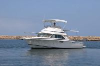 Image for 1983 Bertram 28 Flybridge 1