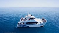 Image for 2011 Custom Whale Watching Business 1