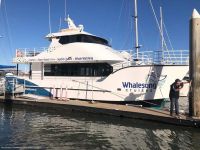 Image for 2011 Custom Whale Watching Business 2