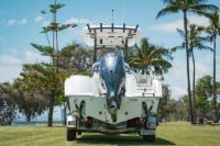 Image for 2024 Sea Fox 248 Commander Monohull 3