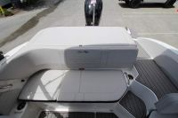 Image for 2023 Sea Ray 190 SPX OB 18