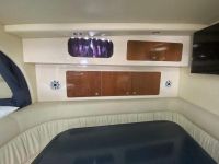 Image for 2006 Mustang 3800 Sportscruiser 4