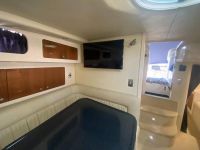 Image for 2006 Mustang 3800 Sportscruiser 6