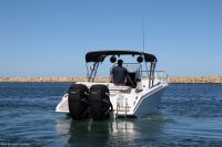Image for 1998 Al Dhaen 360 SF Wavebreaker 4