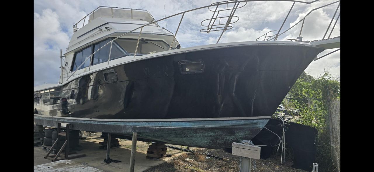 Image for 1989 Carver 32 Flybridge 0