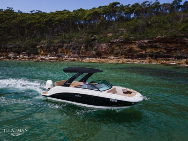 2022 SEA RAY SDX250 OB image