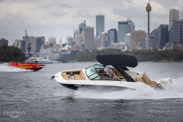 2022 SEA RAY SDX250 OB image