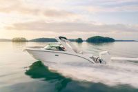 Image for NEW MODEL - 2025 SEA RAY SDX270 OB 43