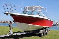 Image for 1997 Penguin Striker 26 4
