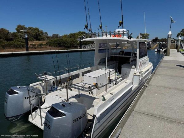 1989 Devil Cat 6.6 image