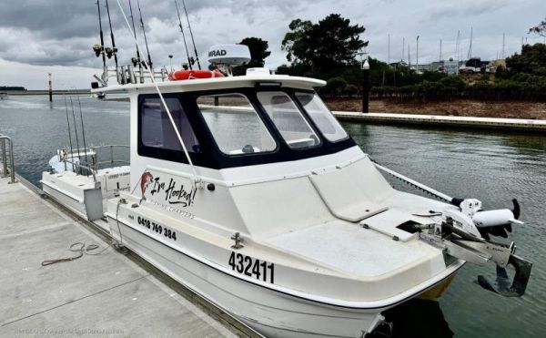 1989 Devil Cat 6.6 image