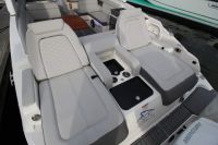 Image for 2020 Sea Ray 290 SDX OB 6