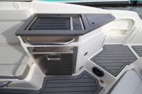 Image for 2020 Sea Ray 290 SDX OB 11