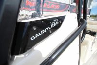 Image for 2023 Boston Whaler 220 Dauntless 21