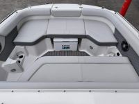 Image for 2024 Sea Ray 250 SDX OB 11