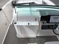 Image for 2024 Sea Ray 250 SDX OB 12