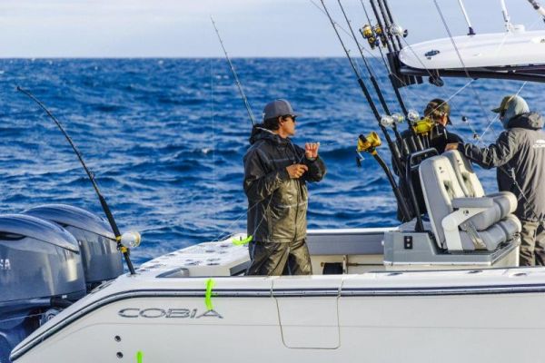 COBIA  285 OPEN image